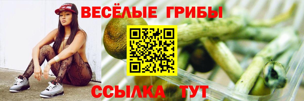 Галлюциногенные грибы мухоморы Пугачёв